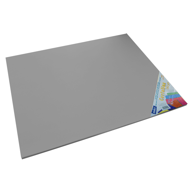 CARTULINA PAQ C/10 C-52 GRIS PLATA 50X65 180 GM