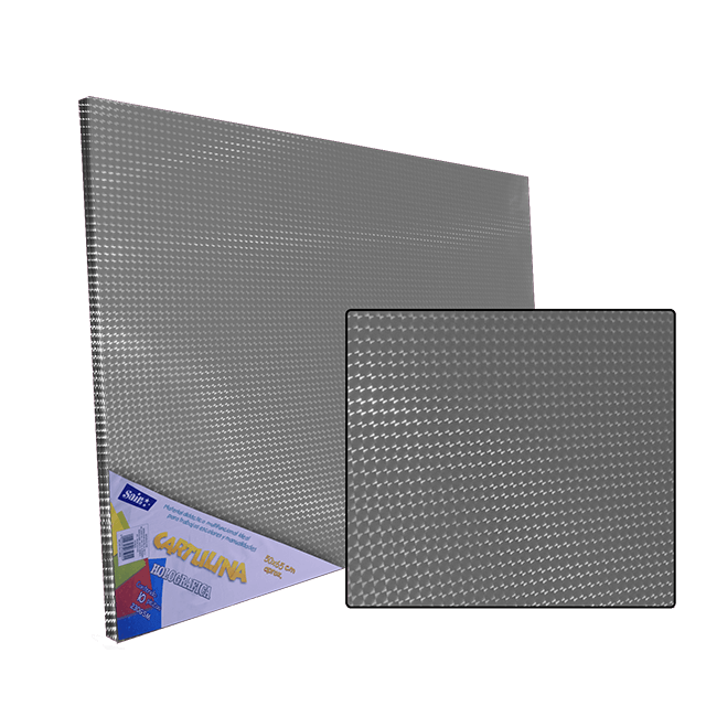 CARTULINA HOLOGRAFICA PLATA 50X65 C/10