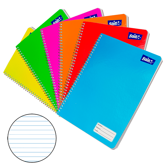 CUADERNO PROFESIONAL RAYA 100 HOJAS C/48 PZAS