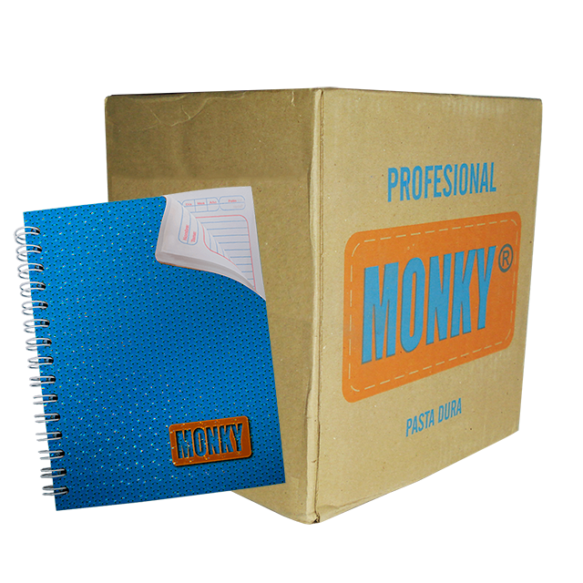 CUADERNO PROF. P. DURA RAYA 100 HJS. C/25