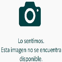 PISTOLA PARA SILICON GRANDE 40W