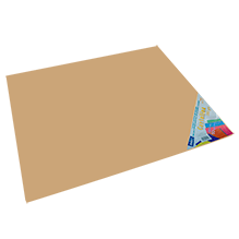 CARTULINA PAQ C/10 C-55 BEIGE 50X65 180 GM