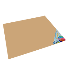 CARTULINA PAQ C/25 C-55 BEIGE 50X65 180 GM
