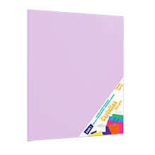 CARTULINA PAQ C/50 C-60 LILA CLARO T/CARTA 180 GM