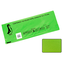 CHINA PAPEL BELUMOSA 10 C/100 43 VERDE MANZANA