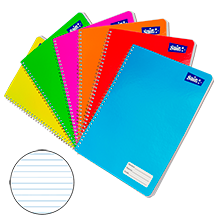 CUADERNO PROFESIONAL RAYA 100 HOJAS C/48 PZAS
