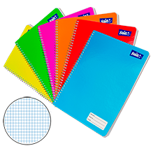 CUADERNO PROFESIONAL CUADRO 7MM 100 HOJAS C/48 PZAS
