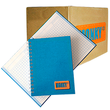 CUADERNO FRANCES P. DURA 5MM 100 HJS PQT C/40